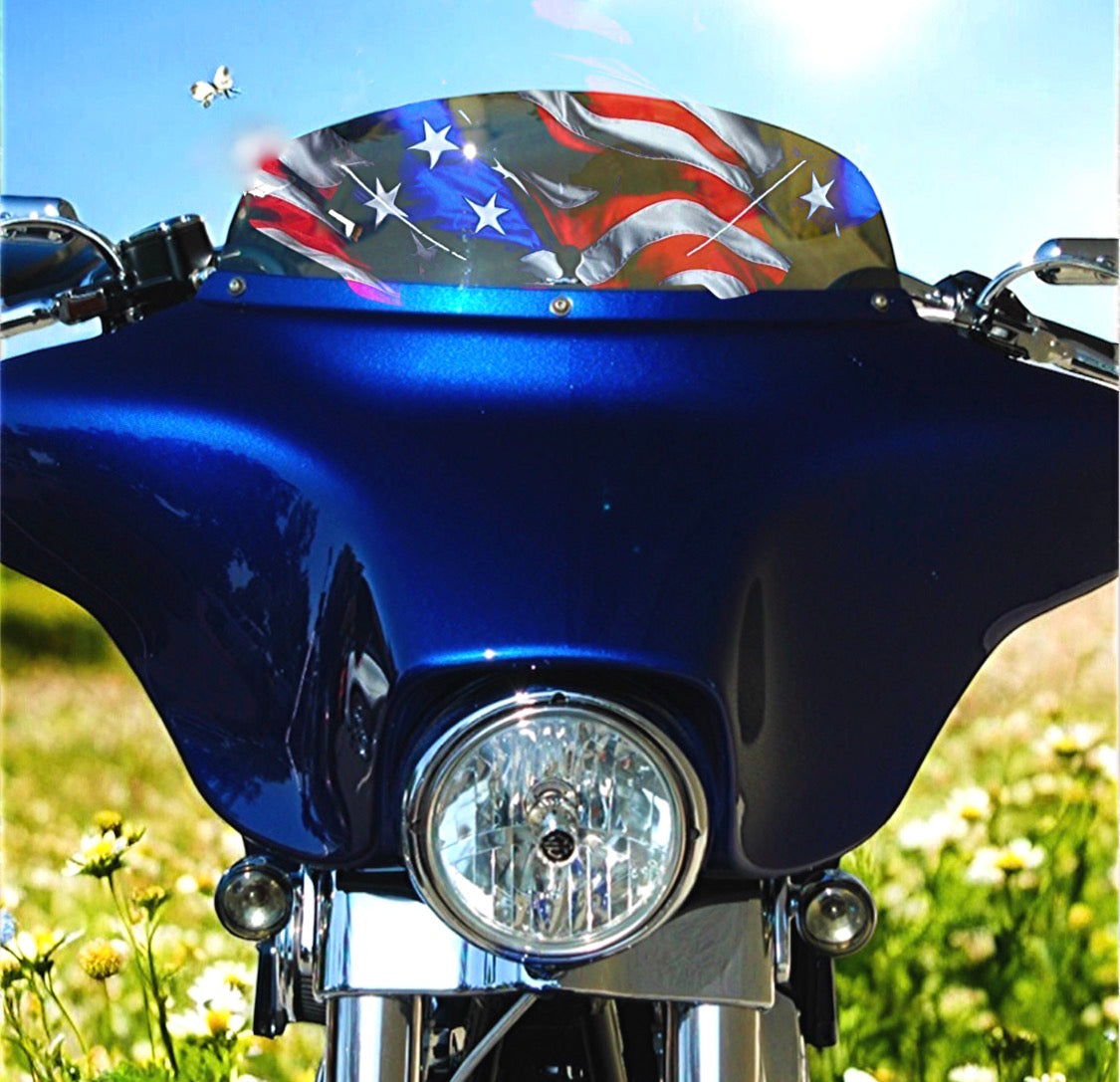 Our Pride Flag - Windshield