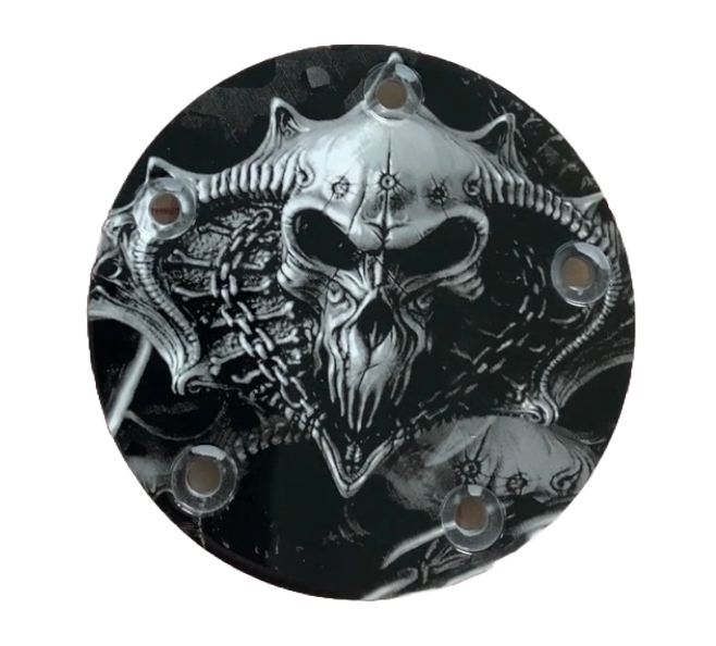 Chained Skulls (Timing/Points Cover)