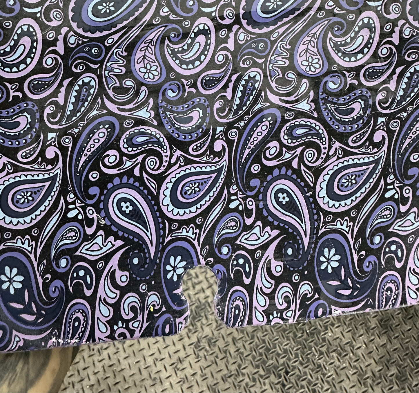 Ladies Bandanna - Windshield
