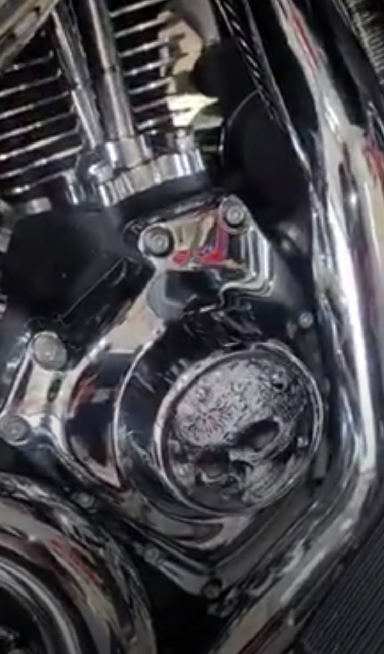 Scrollwork Skulls (Timing/Points Cover)