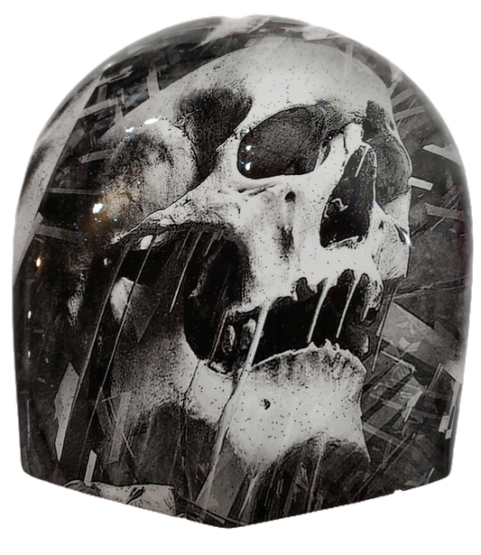 Skull Fusion (Horn Cover)